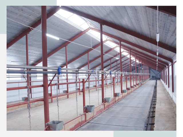 Строительство коровников в Устях-Илимске от 624 руб.