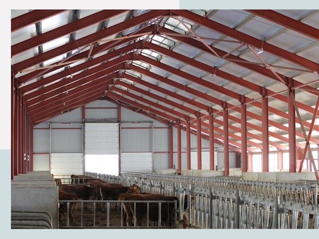 Строительство коровников в Устях-Илимске