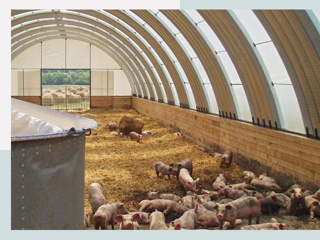 Строительство свинарников в Устях-Илимске