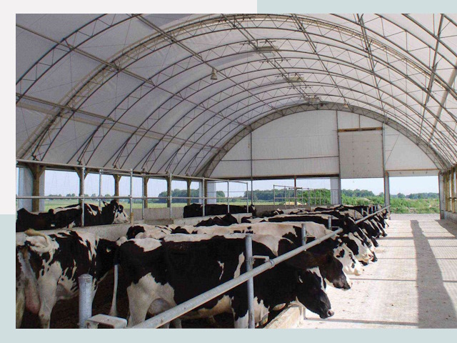 Тентовые коровники в Устях-Илимске